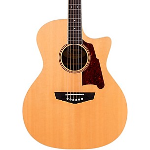 Acoustic Guitars