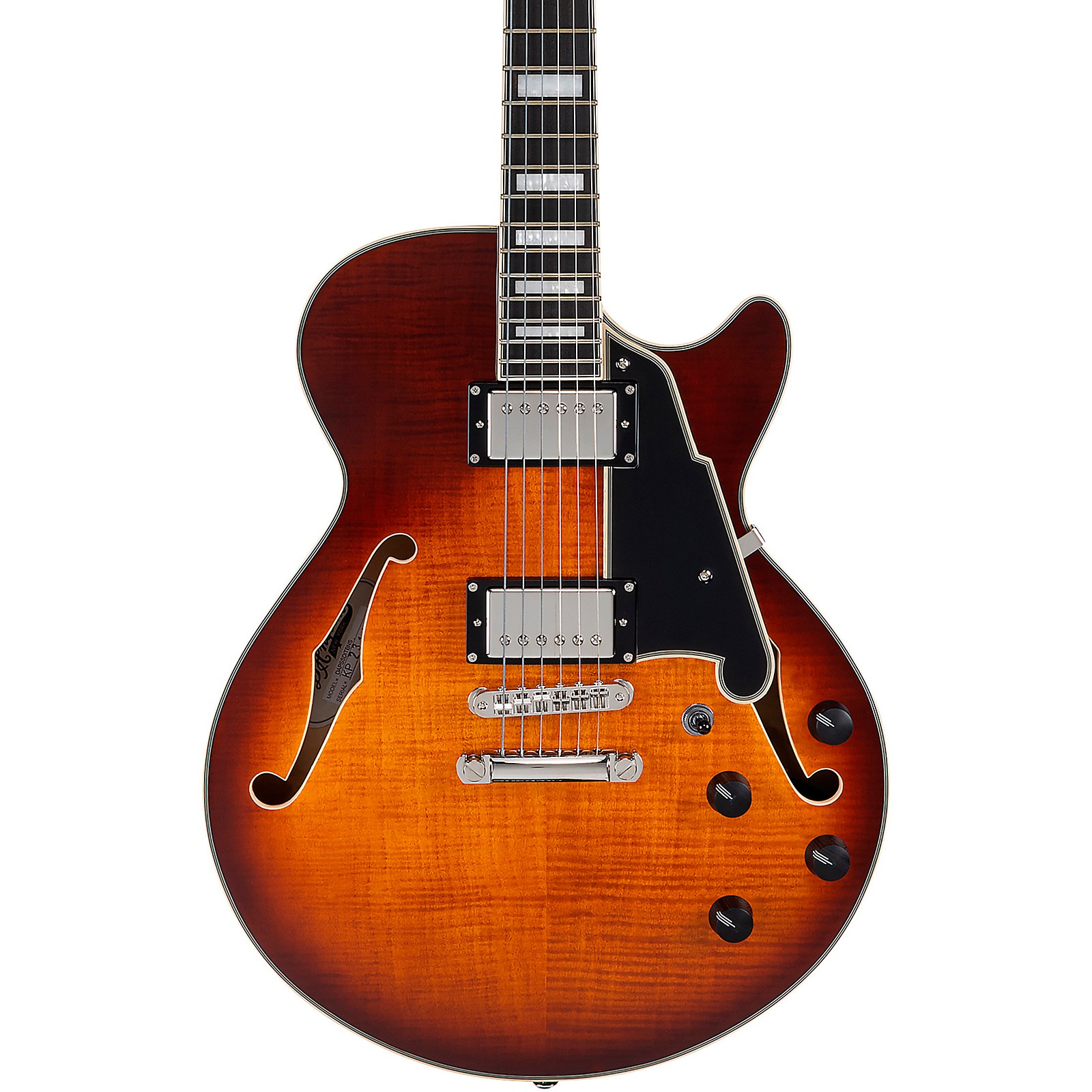 特別オファー D'Angelico Premier With Guitar Electric Semi-Hollow SS ギター