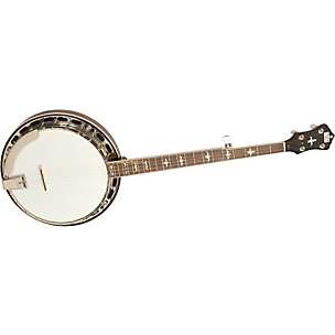 Recording King RK-R35 Madison Tone Ring Banjo