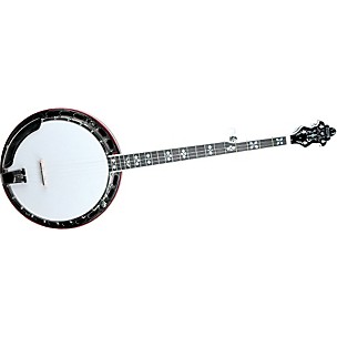 Recording King RK-R80 Professional Banjo