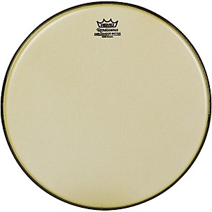 Remo Renaissance Ambassador Tom Batter