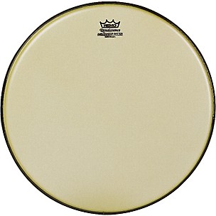 Remo Renaissance Ambassador Tom Batter