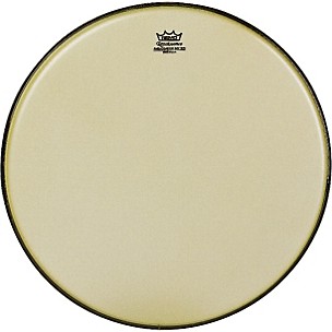 Remo Renaissance Ambassador Tom Batter