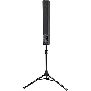 Fishman SA220 Solo Performance System & Acoustic Guitar Combo Amp