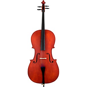 Scherl and Roth SR43 Arietta Series Student Cello Outft