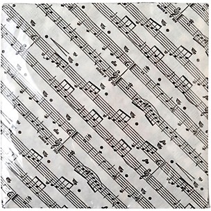 AIM Sheet Music Paper Plates 