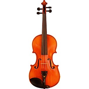 Bazzini Special Violin Outfit