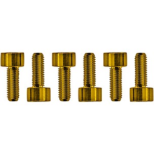 Floyd Rose Stainless Steel Saddle Mounting Screws