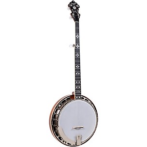 Recording King The Elite Hearts & Flowers Mahogany Resonator Banjo