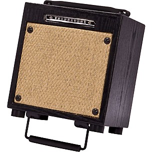 Ibanez Troubadour T10 10W 1x6.5 Acoustic Guitar Amp