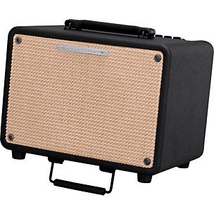 Ibanez Troubadour T30 30W Acoustic Combo Amp