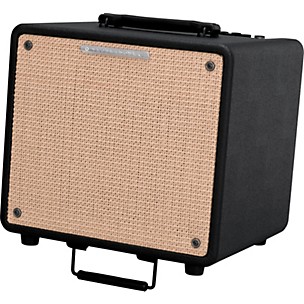 Ibanez Troubadour T80N 80W Acoustic Combo Amp