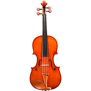 Eastman VA200 Series Step-Up Viola Outfit