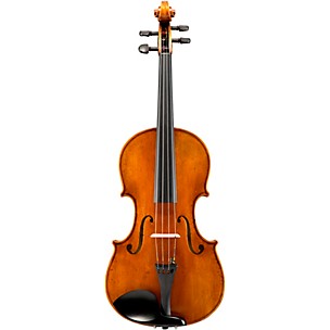 Eastman VA601 Albert Nebel Series Advanced Viola Outfit