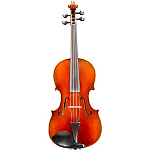 Eastman VA605 Master Series Advanced Viola Outfit