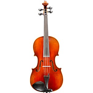 Eastman VA605 Master Series Advanced Viola Outfit