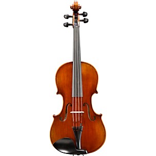 Eastman VA701 Sudoulf Doetsch Series Professional Viola Outfit