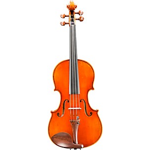 Eastman VA703 Frederich Wyss Series Professional Viola Outfit