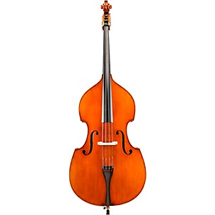 Eastman VB928 Raul Emiliani Series Professional Double Bass Outfit