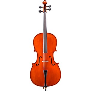 Eastman VC100 Samuel Eastman Series Student Cello Outfit