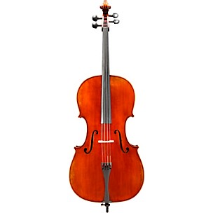 Eastman VC601 Albert Nebel Series Advanced Cello Outfit