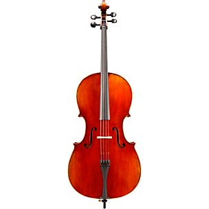 Eastman VC605 Master Series Advanced Cello Outfit