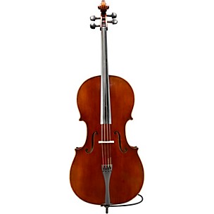 Eastman VC701EA Rudoulf Doetsch Series+ Professional Cello Outfit