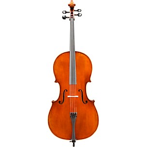 Eastman VC702 Series Professional Cello Outfit