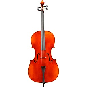 Eastman VC703 Frederich Wyss Series Professional Cello Outfit