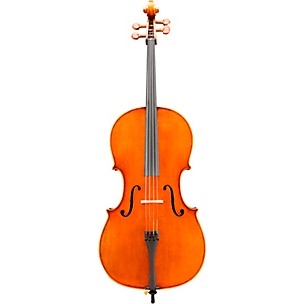 Eastman VC906 Master Series Professional Cello Outfit