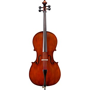 Eastman VC95 Samuel Eastman Hybrid Series Student Cello Outfit