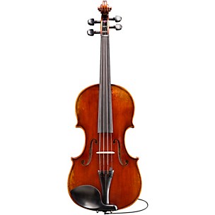 Eastman VL701EA Rudoulf Doetsch Series+ Professional Violin Outfit