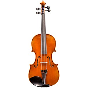 Eastman VL702 Wilhelm Klier Series Professional Violin Outfit