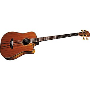 Fender Victor Bailey Signature Acoustic-Electric Bass