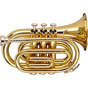Stagg WS-TR245S Series Bb Pocket Trumpet