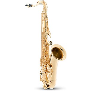 Yamaha YTS-480 Intermediate Bb Tenor Saxophone